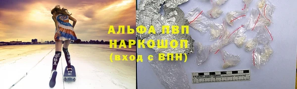 гашик Алексеевка