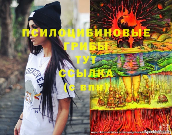 гашик Алексеевка