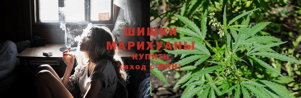 бошки Алзамай