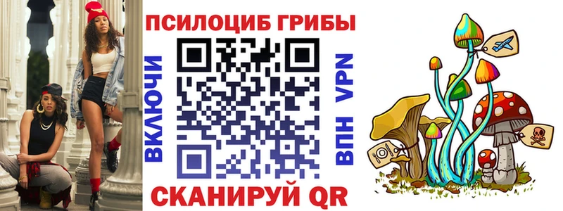 Псилоцибиновые грибы прущие грибы  даркнет сайт  Сосенский 